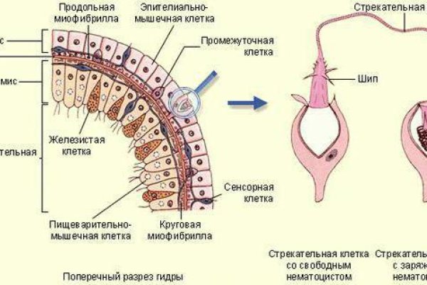 BlackSprut вы забанены почему