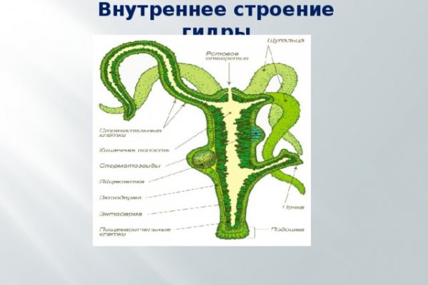 Kraken официальное зеркало крамп