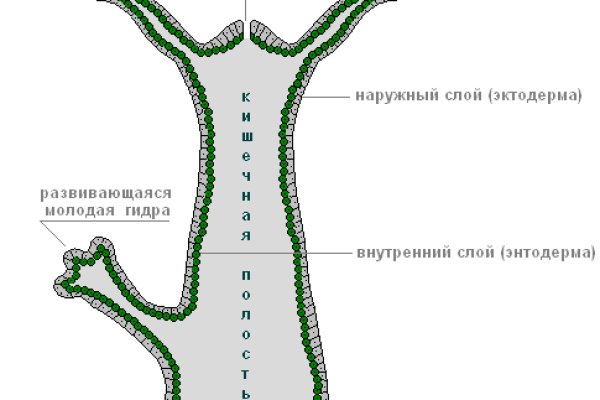 Кракен сайт официальный настоящий