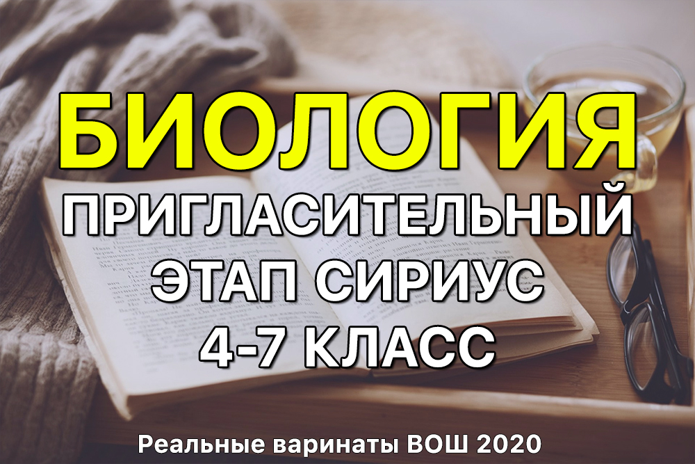 Как пополнить биткоин кошелек на блэкспрут